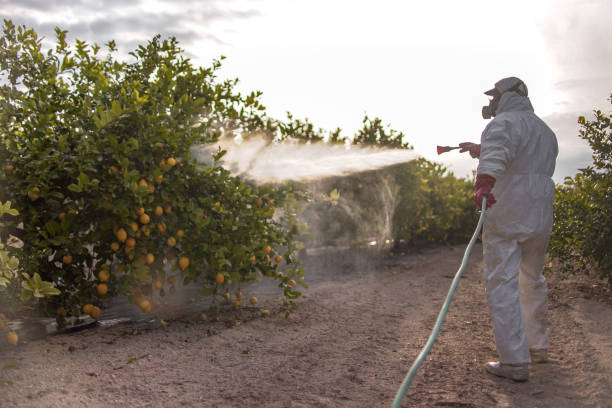 Trusted Zuni Pueblo, NM Pest Control Experts